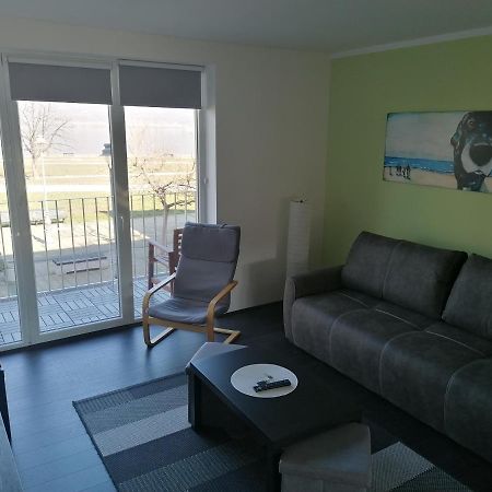 Apartman Terassa Donji Milanovac Exterior photo
