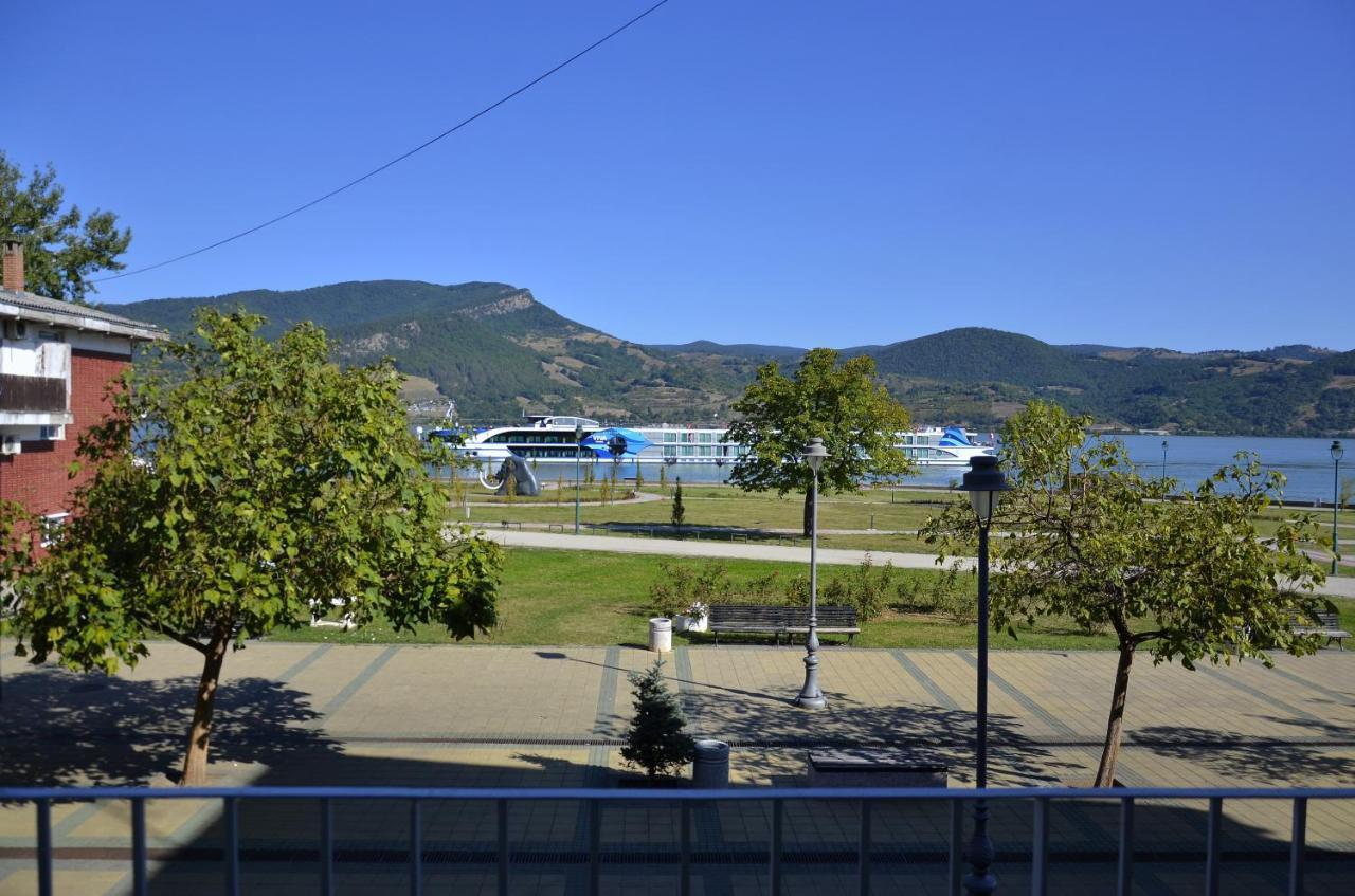 Apartman Terassa Donji Milanovac Exterior photo