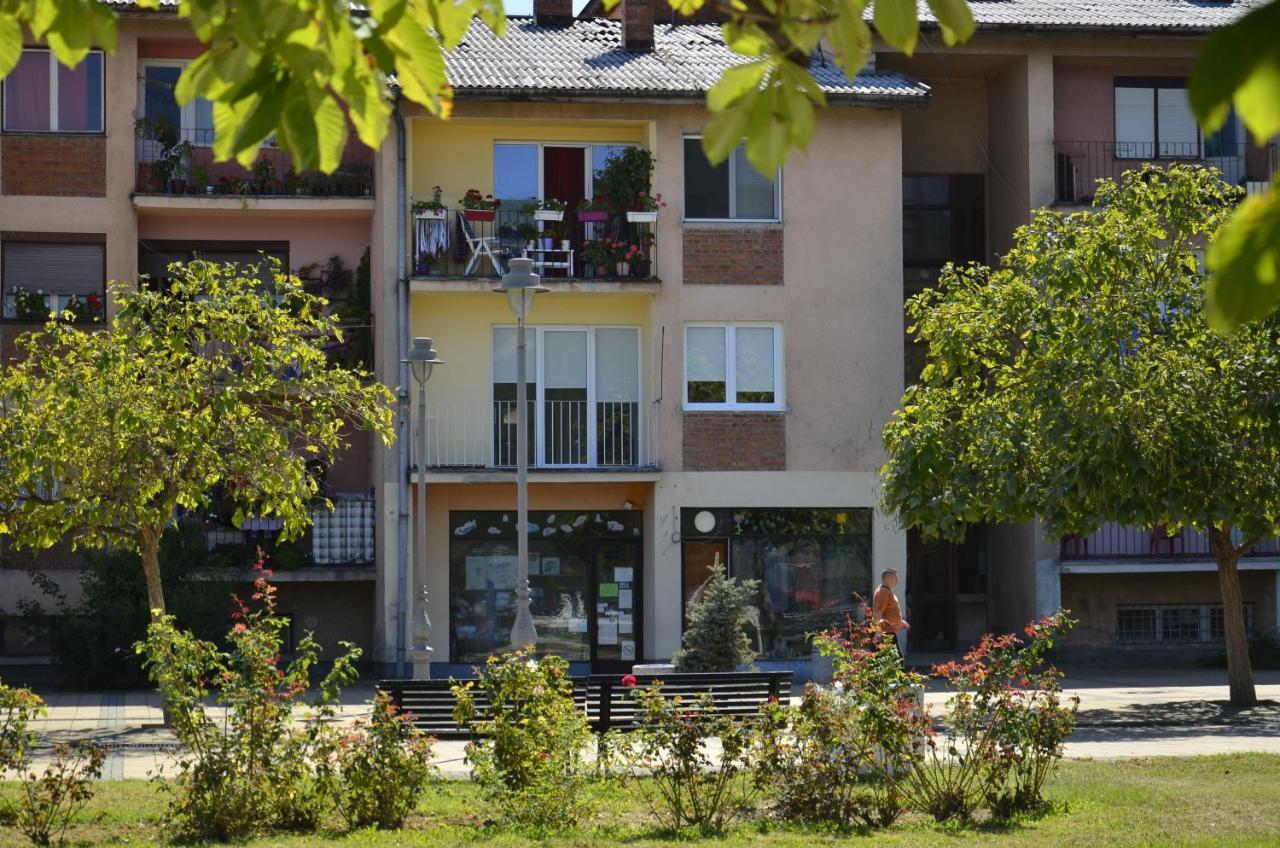 Apartman Terassa Donji Milanovac Exterior photo