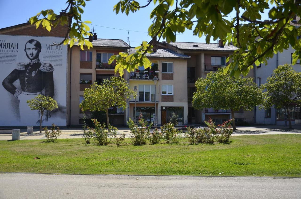 Apartman Terassa Donji Milanovac Exterior photo