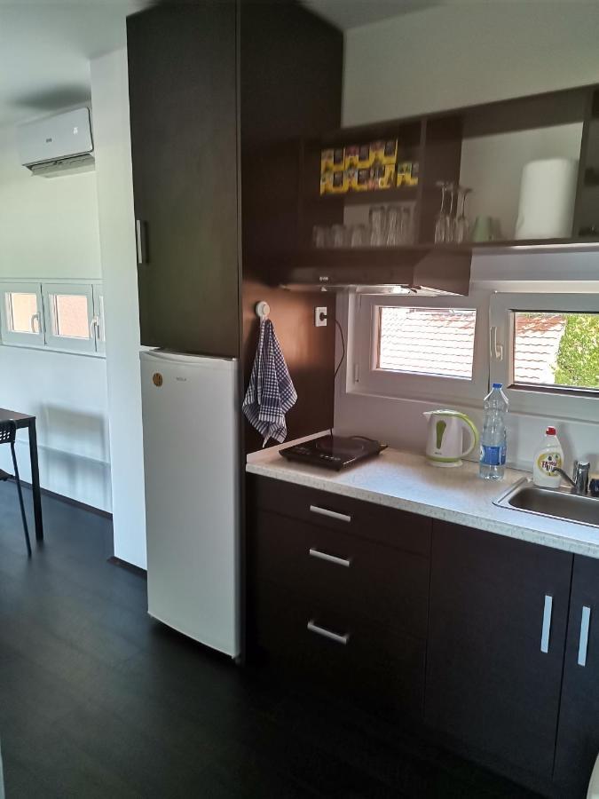 Apartman Terassa Donji Milanovac Exterior photo