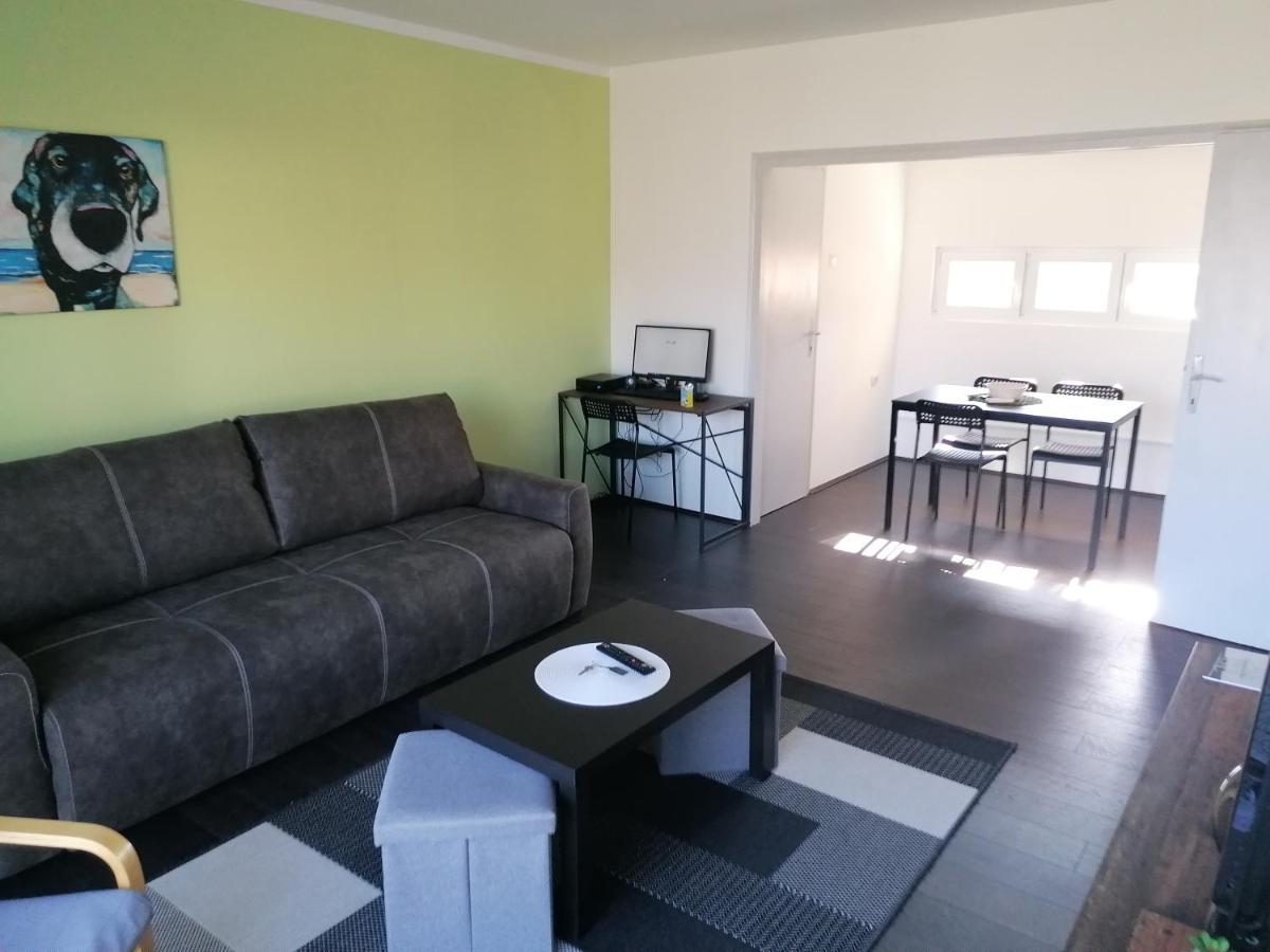 Apartman Terassa Donji Milanovac Exterior photo