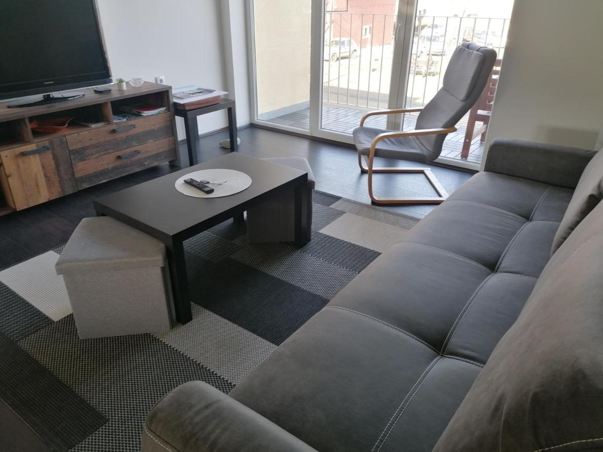 Apartman Terassa Donji Milanovac Exterior photo